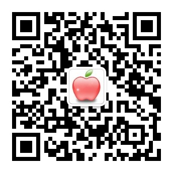 bob超清版